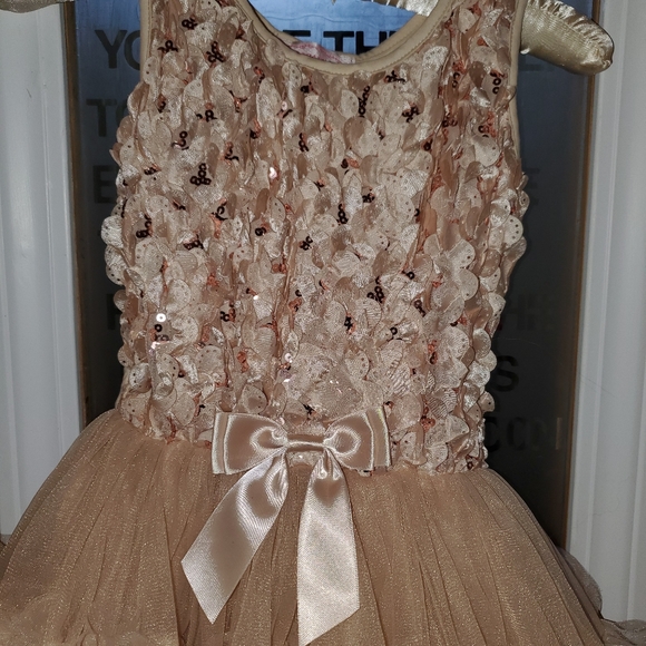 Tan / Beige sequined tutu dress - Picture 2 of 3